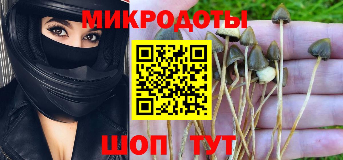 Галлюциногенные грибы мицелий  Галлюциногенные грибы Cubensis  Сарапул  Вход с VPN 