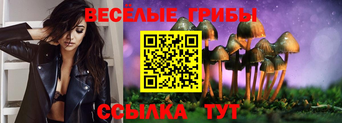 Псилоцибиновые грибы Psilocybine cubensis Сарапул