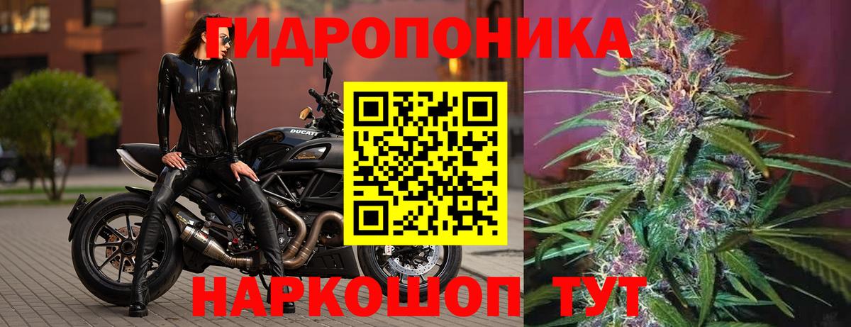 Бошки марихуана VHQ Сарапул